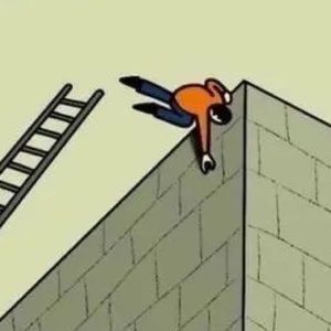 Meet your Posher, Palmer